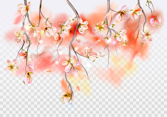 Fototapeta premium Vector background with spring cherry blossom. Sakura branch in springtime with falling petals and blurred transparent elements
