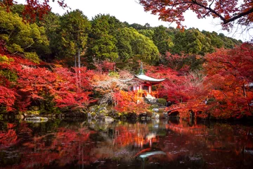 Fotobehang Chocoladebruin Pavilion and Wooded bridge in Daigoji temple with autumn background  © anekoho
