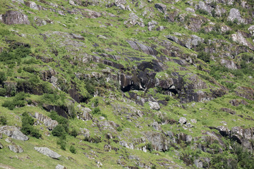 Berglandschaft am Stardalselva, Sommer in Norwegen