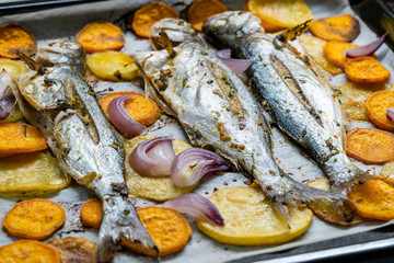 Baked Fish Bluefish with Sweet Potatoes on Oven Tray with Baking Paper Sheet / Lufer.