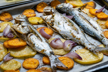 Baked Fish Bluefish with Sweet Potatoes on Oven Tray with Baking Paper Sheet / Lufer.