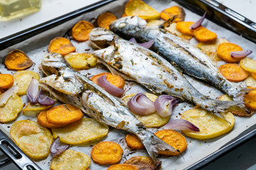 Baked Fish Bluefish with Sweet Potatoes on Oven Tray with Baking Paper Sheet / Lufer.