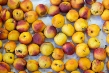 different fruits in the supermarket