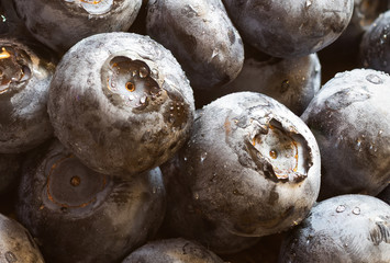 Close up macro photo of a heap of blueberries. Two in the center. Fresh, healthy, freshly washedClose up macro photo of a heap of blueberries. Two in the center. Fresh, healthy, freshly washed