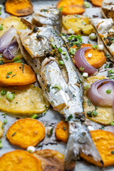 Fototapeta na wymiar Baked Fish Bluefish with Sweet Potatoes on Oven Tray with Baking Paper Sheet / Lufer.
