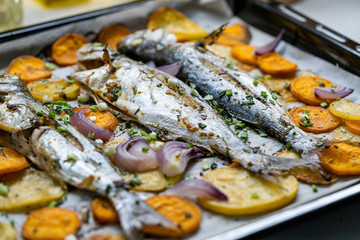 Baked Fish Bluefish with Sweet Potatoes on Oven Tray with Baking Paper Sheet / Lufer.