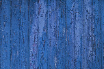 Fototapeta na wymiar Vivid blue wooden texture background. Old weathered bright wall surface. Vertical wooden boards. Close up with copy space