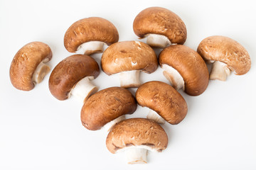 Group of brown mushrooms.