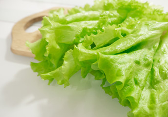 green leaves of salad or lettuce on a wooden board. White background, top view