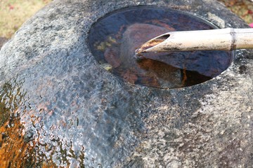 つくばい　手水鉢　風景
