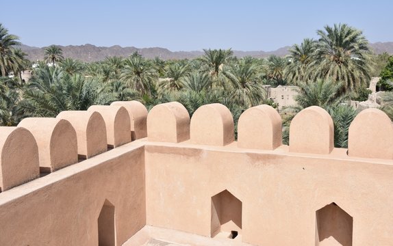 View of Palm Tree Oasis from Corner of Nizwa Castle, Oman