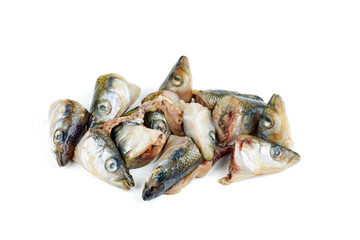 Garbage: raw european smelt fish heads isolated on white background