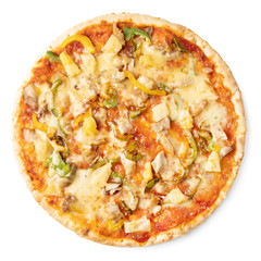 Tasty pizza on a white background