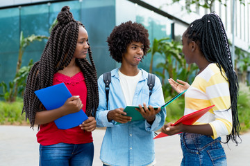 Group of talking african american male and female students