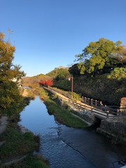 bridge over the river