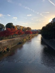 bridge over the river