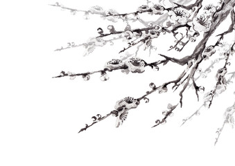 梅の花線画モノクロ