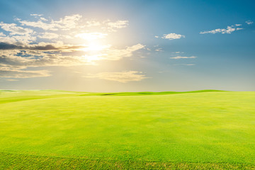 Green grass and blue sky on a sunny day.