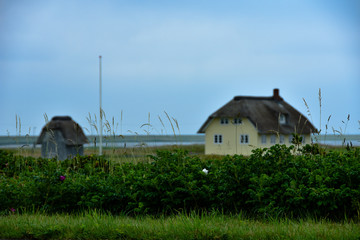 Fototapeta na wymiar Idyllisches Haus auf der Insel Römö in Dänemark