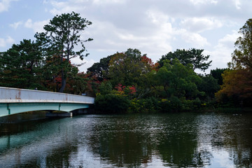 Fototapeta premium 秋の服部緑地・山ヶ池と白鳥橋 