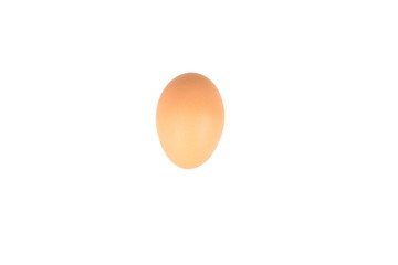 egg on a white background