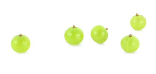Phyllanthus emblica isolate on white background.