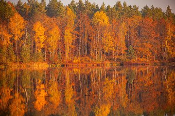 Jezioro jesień drzewa odbicie woda