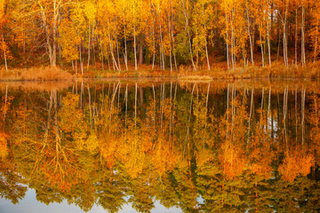 Jezioro jesień drzewa odbicie woda