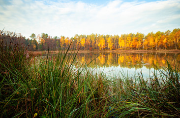 Jesień jezioro drzewa trzcina chmury