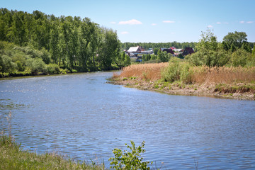 Summer landscape - a calm flat river among fields and birch groves under a blue sky. Village houses on the other side. Cloudless summer weather.