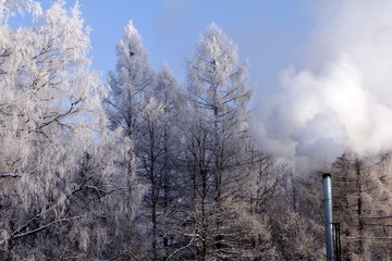Beautiful winter day with white trees, blue sky and metal chimney with smoke