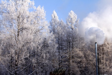 Beautiful winter day with white trees, blue sky and metal chimney with smoke