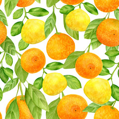 Watercolor citrus seamless pattern. Hand drawn botanical illustration of mandarins, tangerines and lemon fruits with leaves. Plants isolated on white background for design, textile, package, wrapping