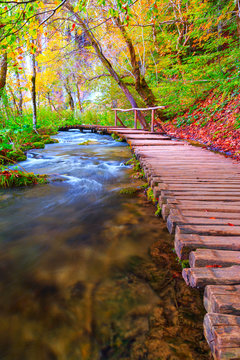 Famous Plitvice lakes and wooden footpath with beautiful autumn colors and magnificent views of the waterfalls at Plitvice national park © rolandbarat