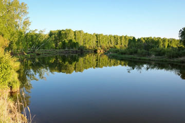 Summer landscape - Calm flat river among fields and birch groves in sunset lighting. Cloudless summer weather.