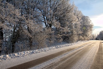 Beautiful sunny winter day with white trees and asphalt road in the foreground