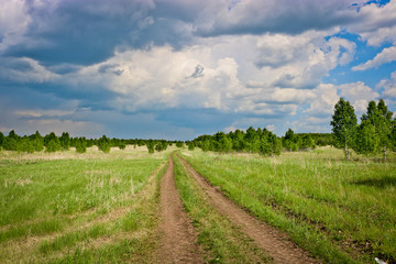 Fototapeta na wymiar Field dirt road among fields and young growth of birches under low thunderclouds. Travel concept by bike or on foot.
