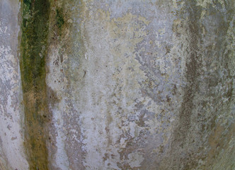 Old gray cement floor as background