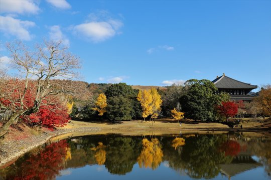 大仏池」の写真素材 | 391件の無料イラスト画像 | Adobe Stock