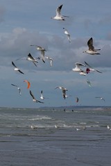 Le touquet 2018