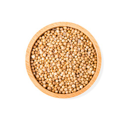  coriander seeds isolated on white background