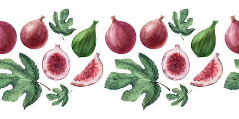 Watercolor borders with Fig leaves and fruits