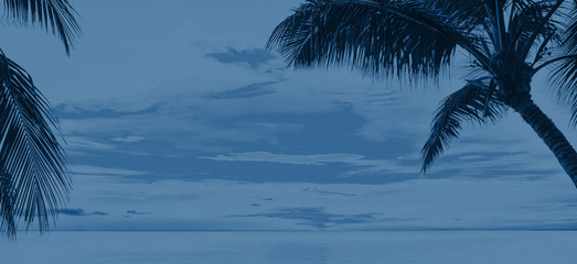 Sunset and palms. Classic Blue abstract background. Color of the year 2020.