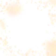 Yellow orange flower petals falling down. Original