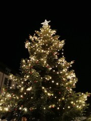 Weihnachtsbaum hell erleuchtet