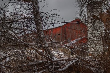 0790 - Sandhill Road's Hidden Red II (0790-BAR-120319-0129P)