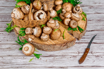 Brown mushrooms in basket on cutting stump ring with knife on rustic wooden background.