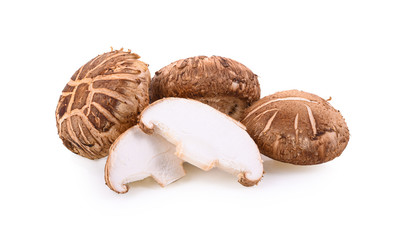 shitake mushroom on white background