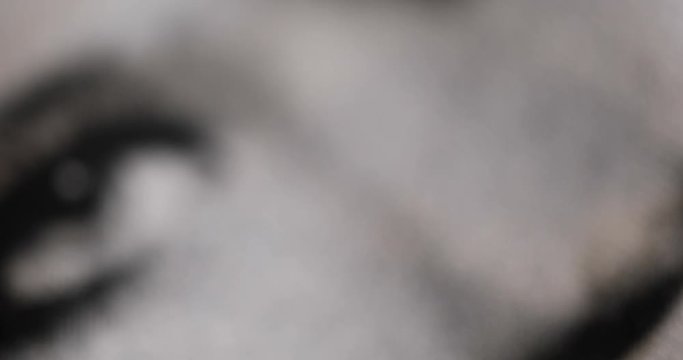 Soft black and white background texture shot moving from defocused to raster printed abstract textile shapes to defocused again.