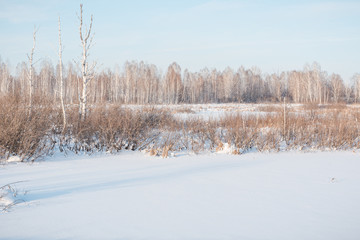 Snow lies in the meadow. Snow fell on the grass. Snow on the bushes. Winter has come. Winter landscape